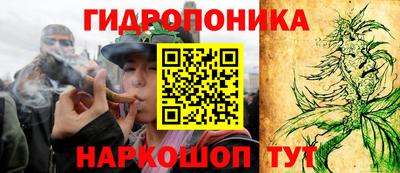 гашик Рыбинск