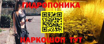 крисы Рузаевка